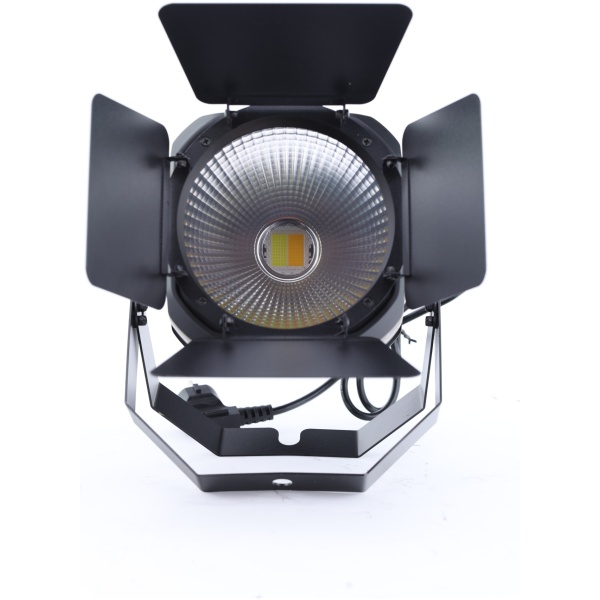 PAR LED Fractal Lights COB 100 W RGB