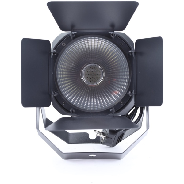 PAR LED Fractal Lights COB 100 W - 50 W WW+50 W PW