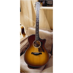 Gitara elektroakustyczna Taylor Builder's Edition 314ce-SB LTD,Ash/Sitka,50th